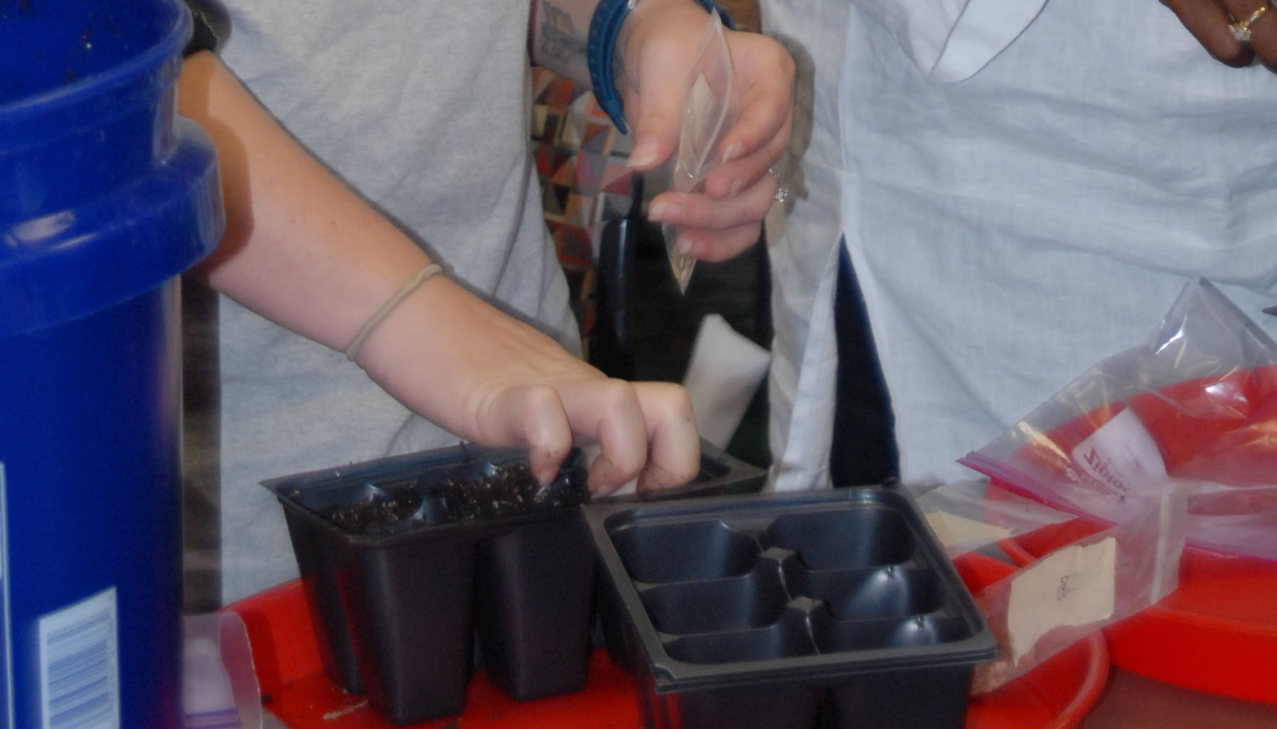 Try starting plants from seeds 